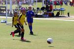 IMG_0276 (cam 0)