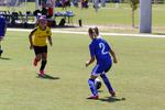 IMG_0278 (cam 0)