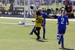 IMG_0287 (cam 0)