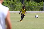 IMG_0321 (cam 0)
