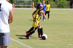 IMG_0333 (cam 0)