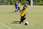 IMG_0335 (cam 0)
