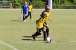 IMG_0336 (cam 0)