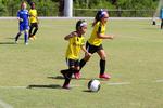 IMG_0337 (cam 0)