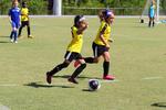 IMG_0338 (cam 0)