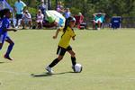 IMG_0339 (cam 0)