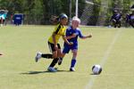 IMG_0341 (cam 0)