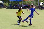 IMG_0345 (cam 0)