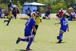 IMG_0350 (cam 0)
