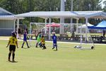 IMG_0354 (cam 0)