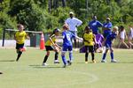 IMG_0384 (cam 0)