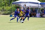 IMG_0388 (cam 0)