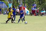 IMG_0394 (cam 0)
