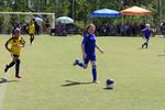 IMG_0407 (cam 0)