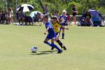 IMG_0416 (cam 0)