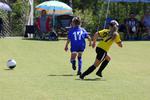 IMG_0422 (cam 0)
