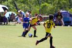 IMG_0425 (cam 0)