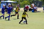 IMG_0431 (cam 0)