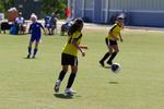 IMG_0447 (cam 0)