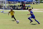 IMG_0462 (cam 0)