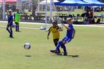 IMG_0464 (cam 0)