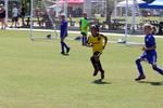 IMG_0465 (cam 0)