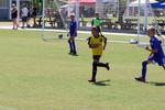 IMG_0466 (cam 0)