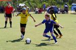 IMG_0468 (cam 0)