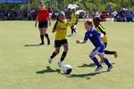 IMG_0469 (cam 0)