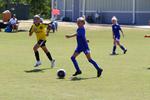 IMG_0480 (cam 0)