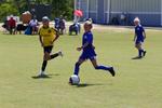 IMG_0481 (cam 0)