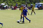 IMG_0485 (cam 0)