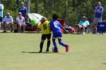 IMG_0493 (cam 0)