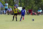 IMG_0495 (cam 0)
