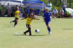 IMG_0505 (cam 0)