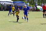 IMG_0507 (cam 0)