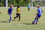 IMG_0517 (cam 0)