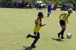 IMG_0523 (cam 0)