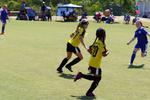 IMG_0525 (cam 0)
