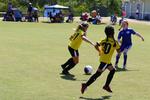 IMG_0526 (cam 0)