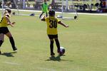 IMG_0529 (cam 0)