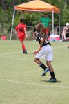 IMG_0049 (cam 0)