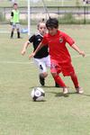 IMG_0100 (cam 0)