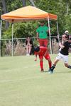 IMG_0115 (cam 0)