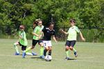 IMG_0040 (cam 0)