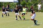 IMG_0156 (cam 0)