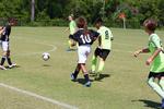 IMG_0183 (cam 0)