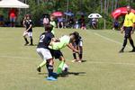 IMG_0198 (cam 0)