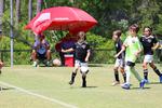 IMG_0208 (cam 0)