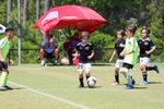 IMG_0209 (cam 0)